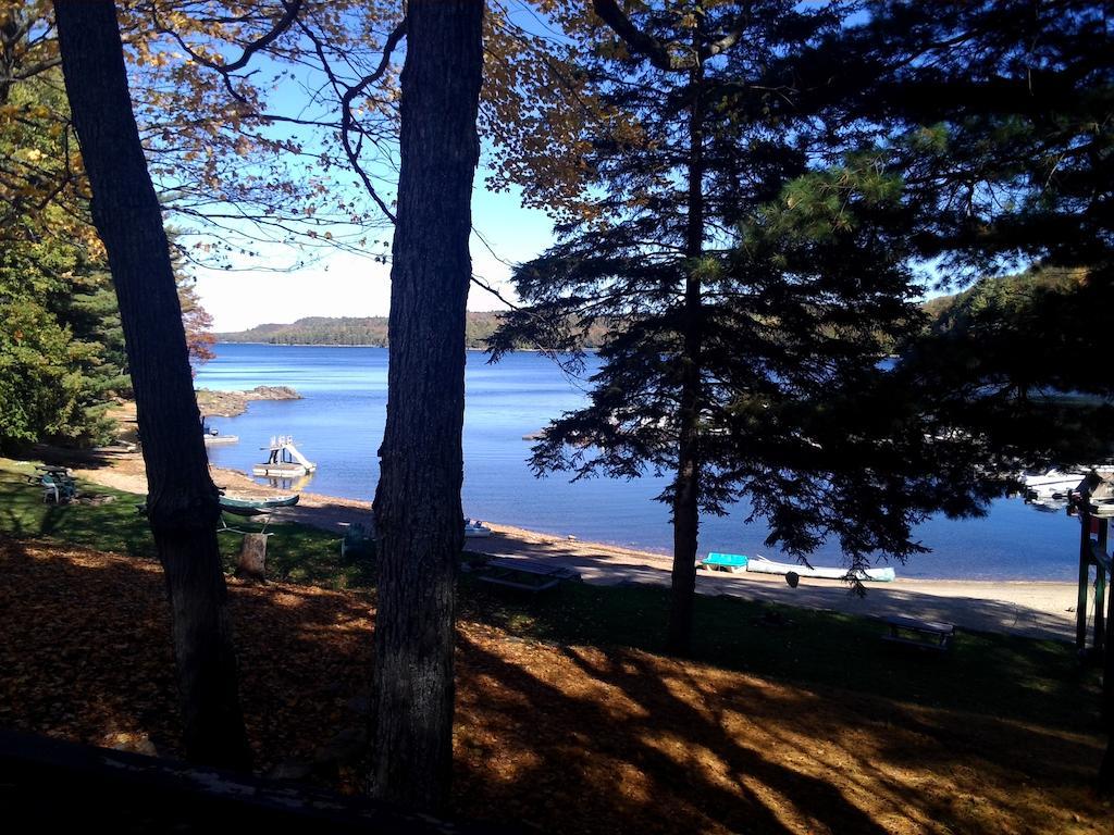 Little Hawk Resort & Marina Algonquin Highlands Exteriör bild