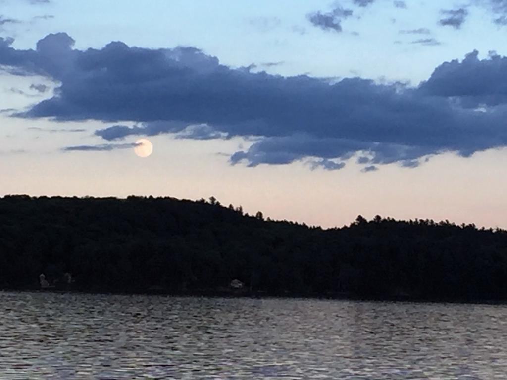 Little Hawk Resort & Marina Algonquin Highlands Exteriör bild