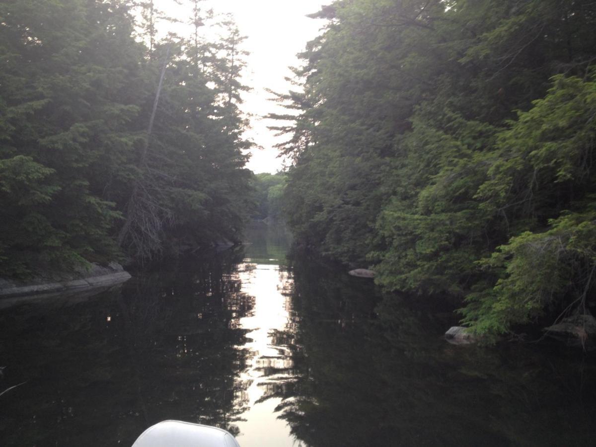 Little Hawk Resort & Marina Algonquin Highlands Exteriör bild